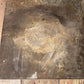 Toledo No Springs Honest Weight, Vintage Grocery Produce Scale 125 LB Industrial