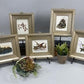Set 5 Framed Bird Prints, Richard Sloan, Wildlife Nature Wall Art (4x5) Decor, A