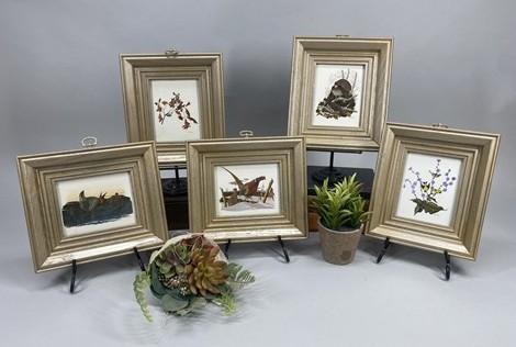 Set 5 Framed Bird Prints, Richard Sloan, Wildlife Nature Wall Art (4x5) Decor, A