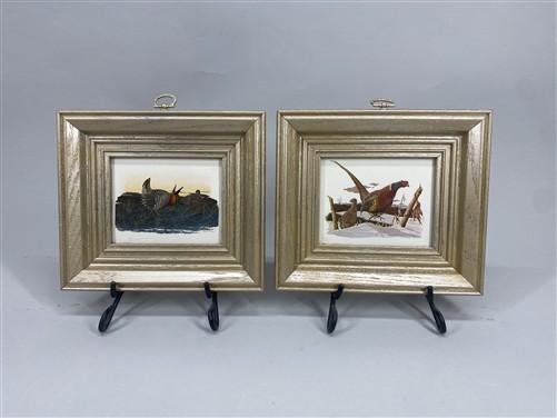 Set 5 Framed Bird Prints, Richard Sloan, Wildlife Nature Wall Art (4x5) Decor, A