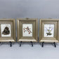 Set 5 Framed Bird Prints, Richard Sloan, Wildlife Nature Wall Art (4x5) Decor, A