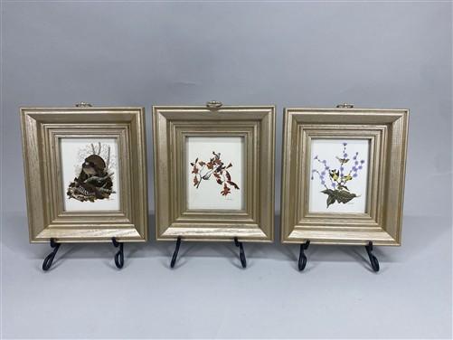 Set 5 Framed Bird Prints, Richard Sloan, Wildlife Nature Wall Art (4x5) Decor, A