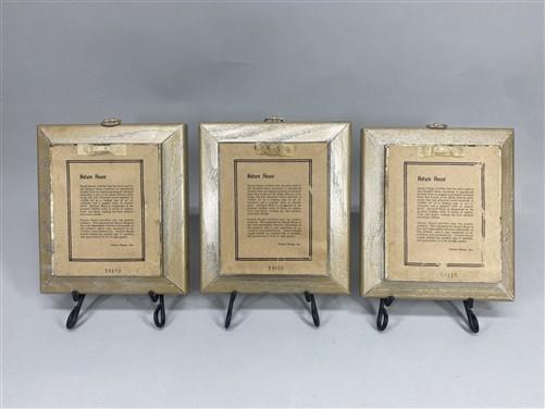 Set 5 Framed Bird Prints, Richard Sloan, Wildlife Nature Wall Art (4x5) Decor, A