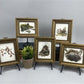 Set 5 Framed Bird Prints, Richard Sloan, Wildlife Nature Wall Art (4x5) Decor, B