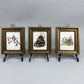 Set 5 Framed Bird Prints, Richard Sloan, Wildlife Nature Wall Art (4x5) Decor, B