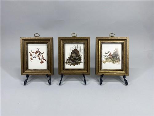 Set 5 Framed Bird Prints, Richard Sloan, Wildlife Nature Wall Art (4x5) Decor, B