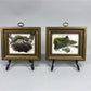 Set 5 Framed Bird Prints, Richard Sloan, Wildlife Nature Wall Art (4x5) Decor, B