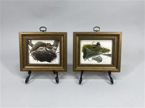 Set 5 Framed Bird Prints, Richard Sloan, Wildlife Nature Wall Art (4x5) Decor, B
