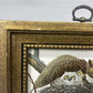 Set 5 Framed Bird Prints, Richard Sloan, Wildlife Nature Wall Art (4x5) Decor, B