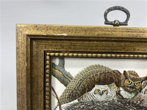 Set 5 Framed Bird Prints, Richard Sloan, Wildlife Nature Wall Art (4x5) Decor, B