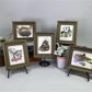 Set 5 Framed Bird Prints, Richard Sloan, Wildlife Nature Wall Art (4x5) Decor, C