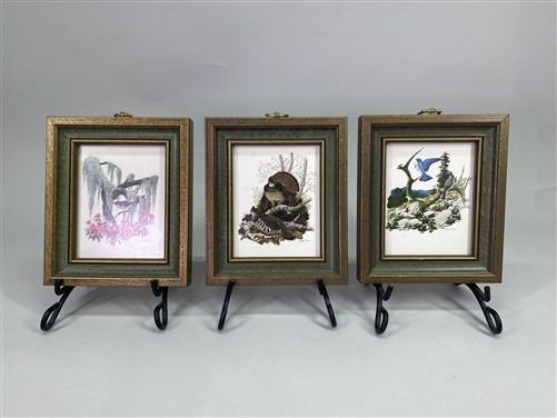 Set 5 Framed Bird Prints, Richard Sloan, Wildlife Nature Wall Art (4x5) Decor, C