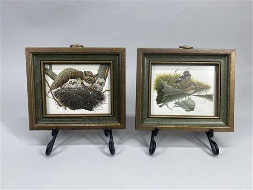 Set 5 Framed Bird Prints, Richard Sloan, Wildlife Nature Wall Art (4x5) Decor, C