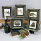 Set 5 Framed Bird Prints, Richard Sloan, Wildlife Nature Wall Art (4x5) Decor, D