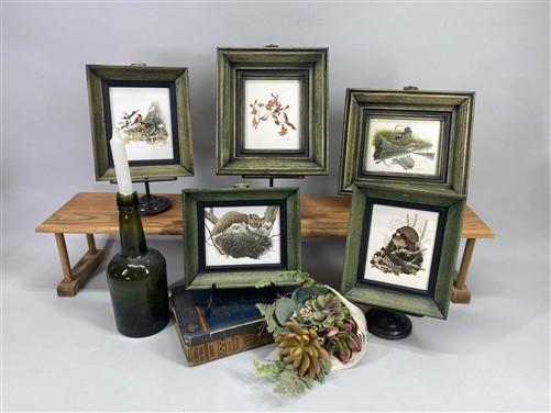 Set 5 Framed Bird Prints, Richard Sloan, Wildlife Nature Wall Art (4x5) Decor, D