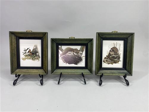 Set 5 Framed Bird Prints, Richard Sloan, Wildlife Nature Wall Art (4x5) Decor, D