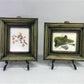 Set 5 Framed Bird Prints, Richard Sloan, Wildlife Nature Wall Art (4x5) Decor, D