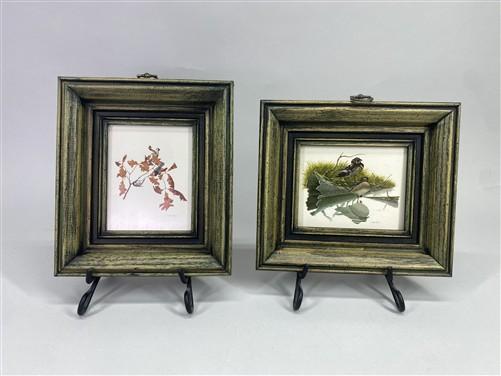 Set 5 Framed Bird Prints, Richard Sloan, Wildlife Nature Wall Art (4x5) Decor, D