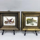 Set 5 Framed Bird Prints, Richard Sloan, Wildlife Nature Wall Art (4x5) Decor, E
