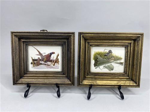 Set 5 Framed Bird Prints, Richard Sloan, Wildlife Nature Wall Art (4x5) Decor, E