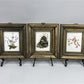 Set 5 Framed Bird Prints, Richard Sloan, Wildlife Nature Wall Art (4x5) Decor, E