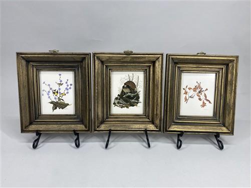 Set 5 Framed Bird Prints, Richard Sloan, Wildlife Nature Wall Art (4x5) Decor, E