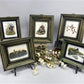 Set 5 Framed Bird Prints, Richard Sloan, Wildlife Nature Wall Art (4x5) Decor, F