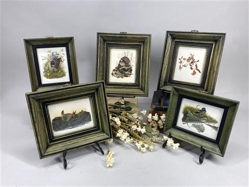 Set 5 Framed Bird Prints, Richard Sloan, Wildlife Nature Wall Art (4x5) Decor, F