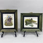 Set 5 Framed Bird Prints, Richard Sloan, Wildlife Nature Wall Art (4x5) Decor, F