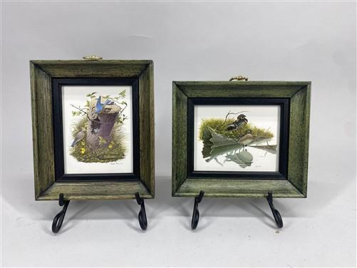 Set 5 Framed Bird Prints, Richard Sloan, Wildlife Nature Wall Art (4x5) Decor, F
