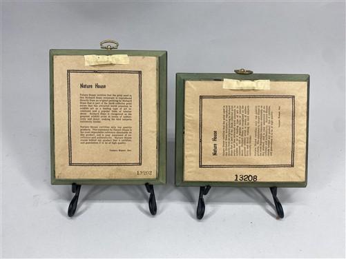 Set 5 Framed Bird Prints, Richard Sloan, Wildlife Nature Wall Art (4x5) Decor, F