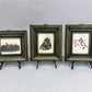 Set 5 Framed Bird Prints, Richard Sloan, Wildlife Nature Wall Art (4x5) Decor, F