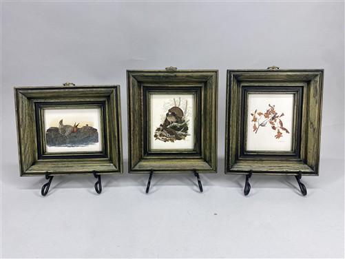 Set 5 Framed Bird Prints, Richard Sloan, Wildlife Nature Wall Art (4x5) Decor, F