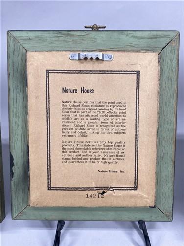Set 5 Framed Bird Prints, Richard Sloan, Wildlife Nature Wall Art (4x5) Decor, F