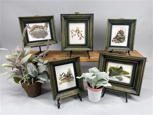 Set 5 Framed Bird Prints, Richard Sloan, Wildlife Nature Wall Art (4x5) Decor, G