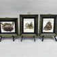Set 5 Framed Bird Prints, Richard Sloan, Wildlife Nature Wall Art (4x5) Decor, G