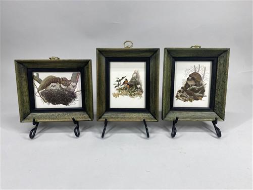 Set 5 Framed Bird Prints, Richard Sloan, Wildlife Nature Wall Art (4x5) Decor, G