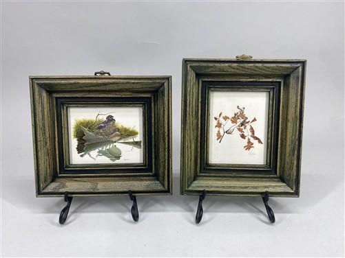 Set 5 Framed Bird Prints, Richard Sloan, Wildlife Nature Wall Art (4x5) Decor, G