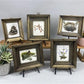 Set 5 Framed Bird Prints, Richard Sloan, Wildlife Nature Wall Art (4x5) Decor, H