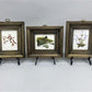 Set 5 Framed Bird Prints, Richard Sloan, Wildlife Nature Wall Art (4x5) Decor, H