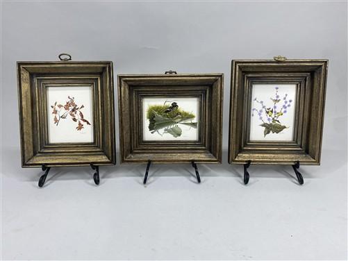 Set 5 Framed Bird Prints, Richard Sloan, Wildlife Nature Wall Art (4x5) Decor, H