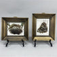 Set 5 Framed Bird Prints, Richard Sloan, Wildlife Nature Wall Art (4x5) Decor, H