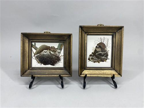 Set 5 Framed Bird Prints, Richard Sloan, Wildlife Nature Wall Art (4x5) Decor, H
