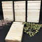4 Plinth Blocks, Door Trim Molding Architectural Salvage, Antique Wood Trim D22
