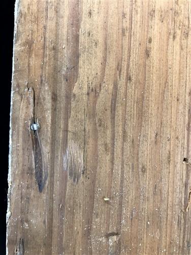 4 Wood Trim Pieces, Architectural Salvage, Reclaimed Vintage Wood Baseboard B4