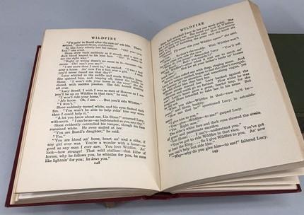 5 Zane Grey HC Lot, Vintage Hardcover Western Book Lot F