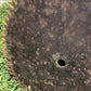26 Inch Circular Buzz Saw Blade Vintage Saw Mill Industrial Age Steampunk A