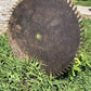 26 Inch Circular Buzz Saw Blade Vintage Saw Mill Industrial Age Steampunk A