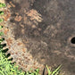 26 Inch Circular Buzz Saw Blade Vintage Saw Mill Industrial Age Steampunk A