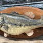 Mounted Largemouth Bass, Taxidermy Fish, Vintage Sport Game Fishing Trophy